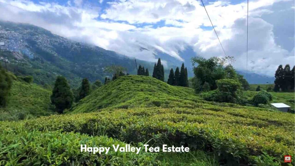 Happy Valley Tea Estate